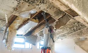 Why You Should Choose Our Mold Remediation Services in South Blooming Grove, NY